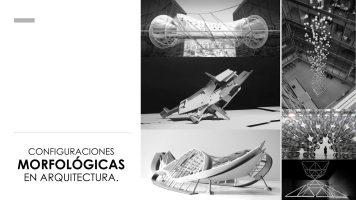 cursodemorfologia2.milaulas.com